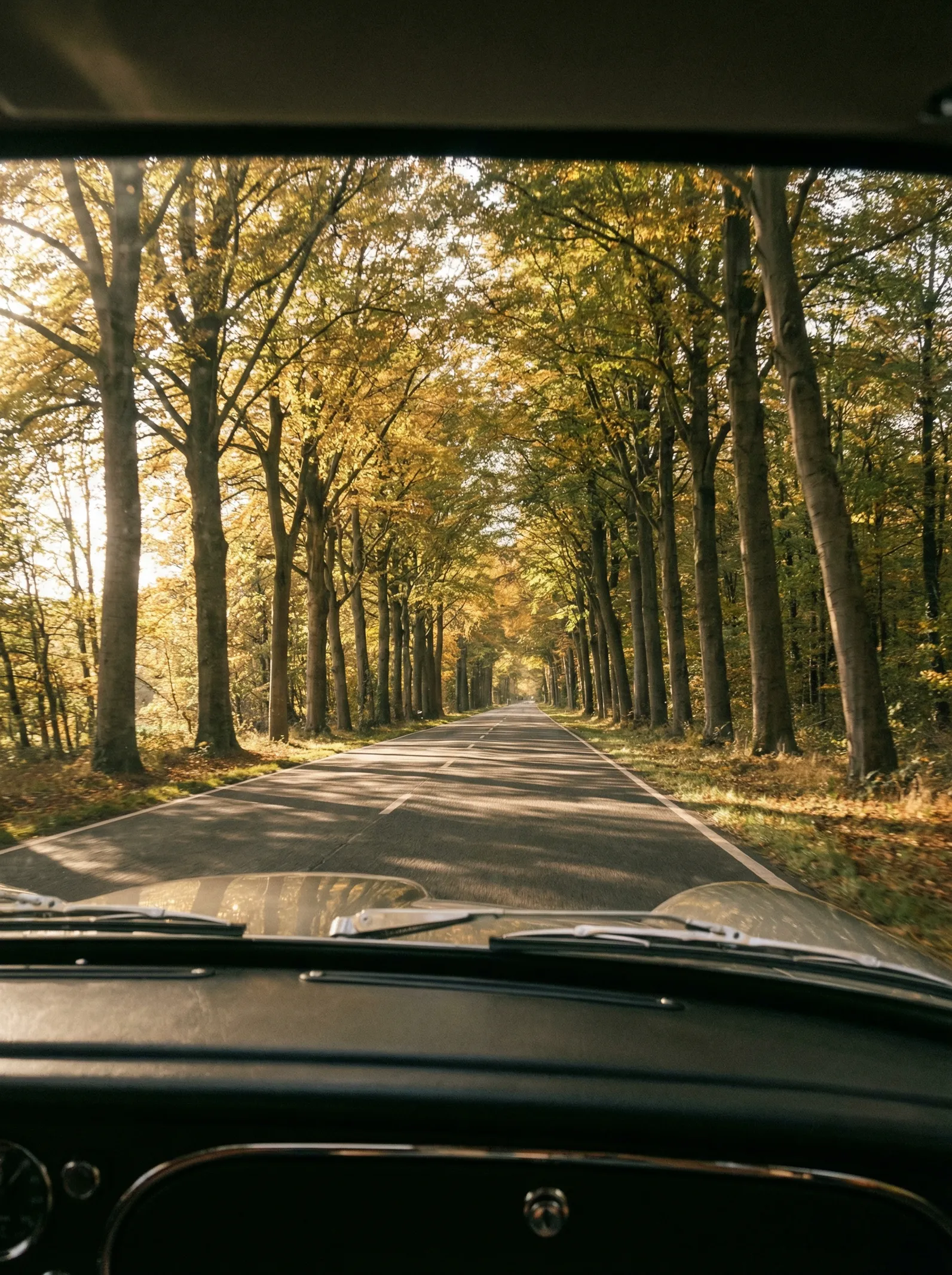 An open road through the Luxembourg countryside at dawn