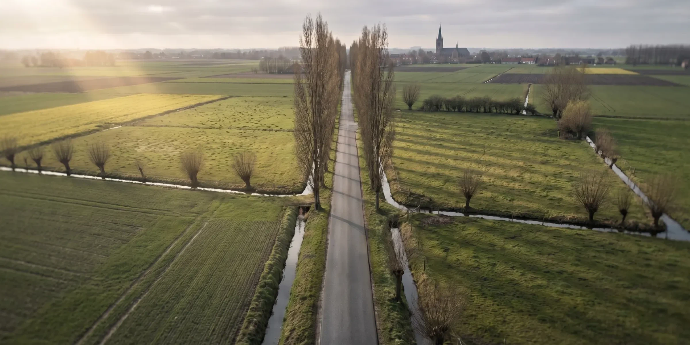 Ardennes road winding through Belgium's forested landscape