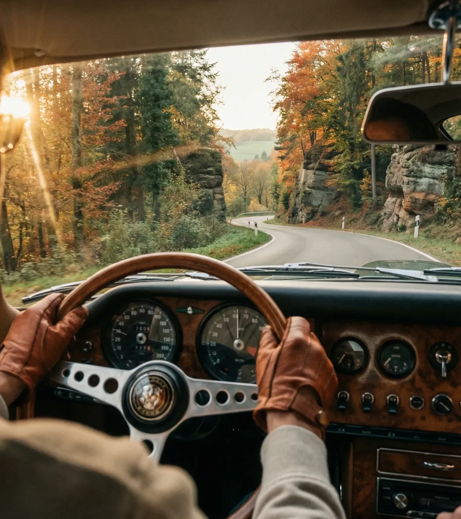 Classic car interior — driver on a coastal road lined with pine trees
