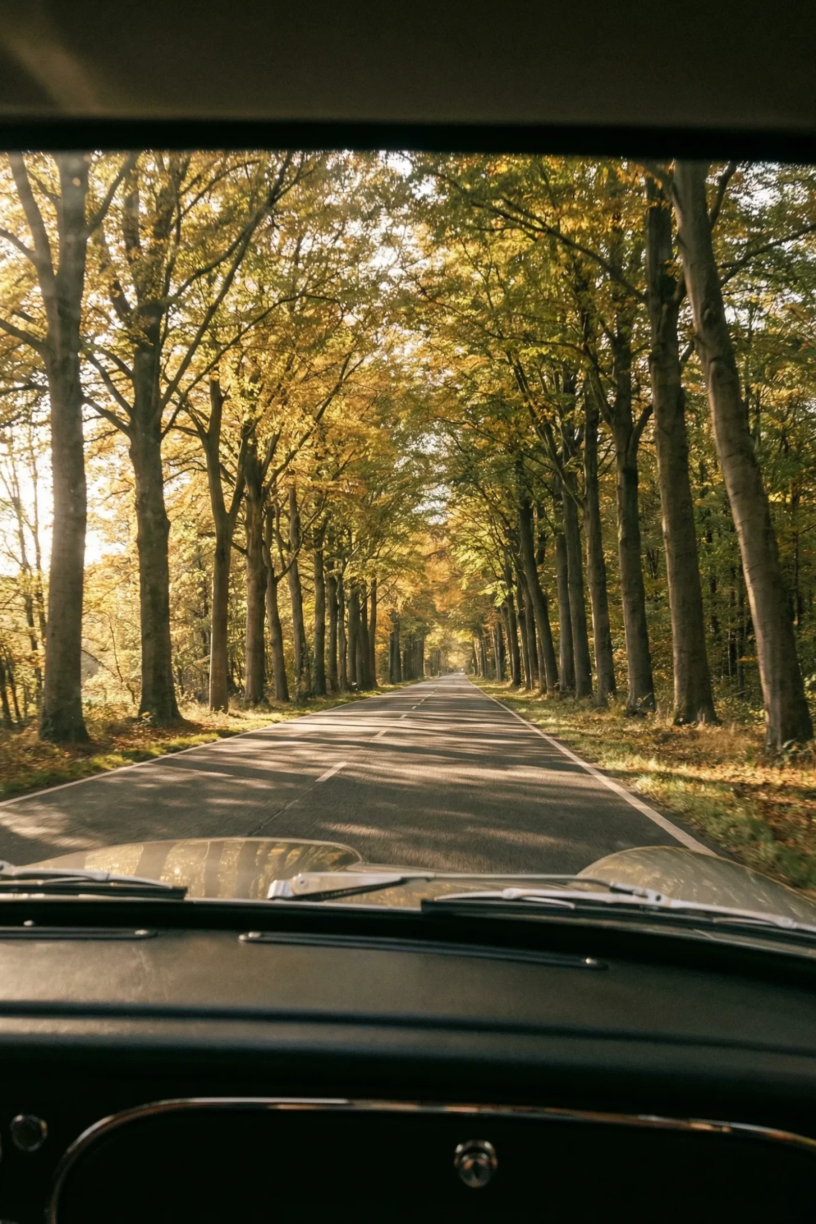 An open road through the Luxembourg countryside at dawn